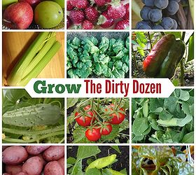 growing foods from the dirty dozen list, gardening, homesteading