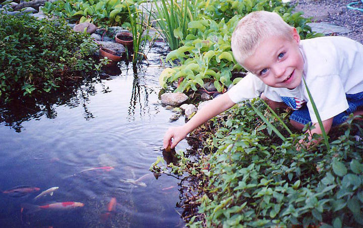 our work, flowers, gardening, outdoor living, pets animals, ponds water features, Our son feeding his fish