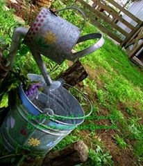 re purposed backyard, gardening, repurposing upcycling, Watering can fountain