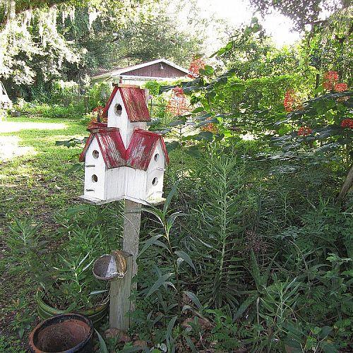 my back yard and front yard gardening my flower and plants, flowers, gardening, outdoor living, I MADE THIS BIRD HOUSE