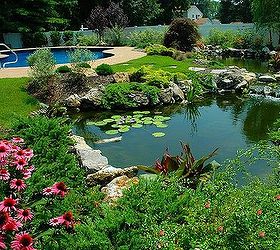 if one pond is good are 2 ponds better, ponds water features, pool designs, spas, Pond and swimming pool This pond project won an International award from the Association of Pool and Spa Professionals APSP Silver medal for waterfeatures