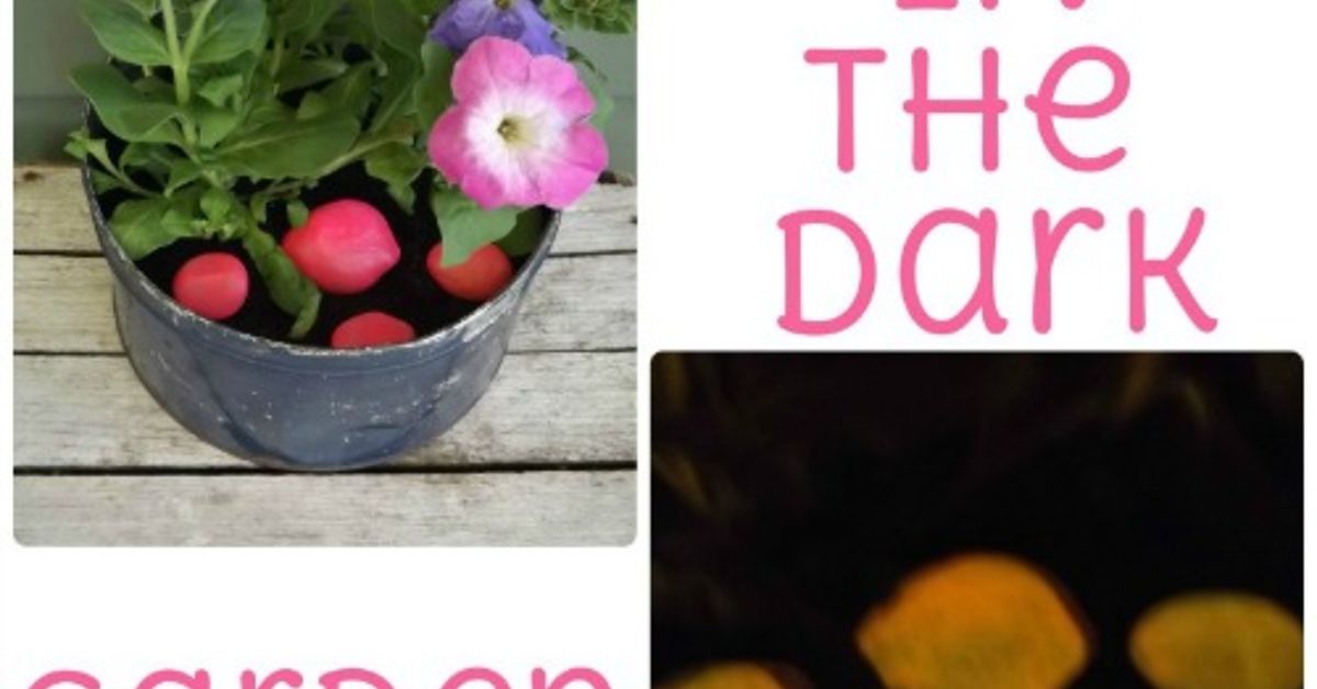 Make Glow-In-The-Dark Garden Rocks | Hometalk