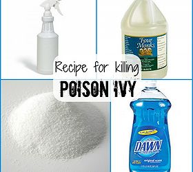 Suggestions for Killing Poison Ivy