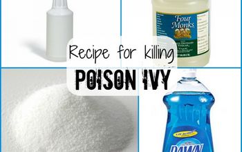 Suggestions for Killing Poison Ivy