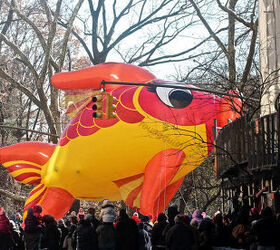 id needed re characters in entertainment, seasonal holiday d cor, thanksgiving decorations, An unidentified fish marches swims out of water in Macy s 2013 Thanksgiving Parade View Four at CPW Image featured