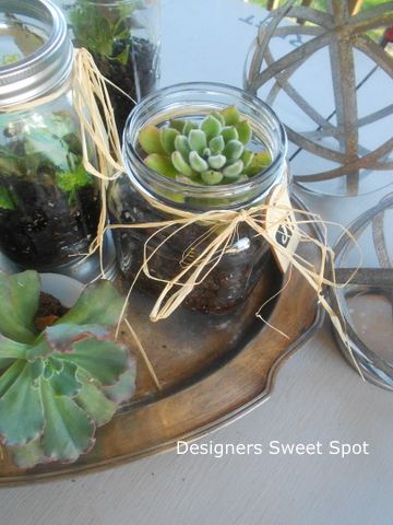 mason jar terrariums, container gardening, crafts, gardening, mason jars, repurposing upcycling, succulents, terrarium, I used a mix of potting soil pebbles and activated charcoal for the terrariums