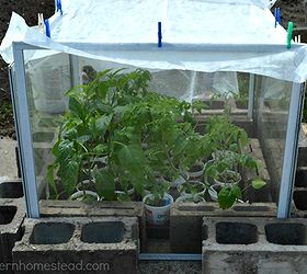 recycled little greenhouse, gardening