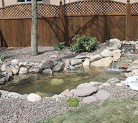 ecosystem pond chelsea mi, outdoor living, ponds water features, Another shot of the ecosystem pond in Chelsea MI