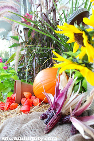 my fall display happy thanksgiving, curb appeal, seasonal holiday decor, thanksgiving decorations