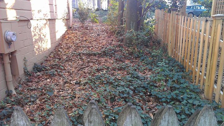 necesito ideas para una parte descuidada del jardn, Vista desde la valla hacia la parte delantera de la casa Tambi n se pueden ver los arbustos en la parte superior de la pendiente y c mo esta peque a zona est oculta desde la calle La ventana del dormitorio est en la esquina superior izquierda de la foto