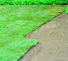 landscaping the yard, gardening, landscape, May zeon zoysia sod installation