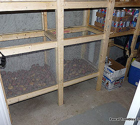 walk in cold storage room in your basement building guide, basement ideas, closet, diy, how to, shelving ideas, storage ideas, woodworking projects, Positive Cold Room with vegetable bins See how to build it