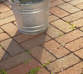 cleaning your home s brick, cleaning tips, concrete masonry, home maintenance repairs, Plant matter can grow between bricks Make sure to address the root system to prevent them from coming back