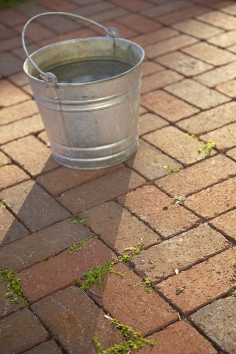 limpeza de tijolos de casa, A mat ria vegetal pode crescer entre os tijolos Certifique se de tratar o sistema radicular para evitar que eles voltem