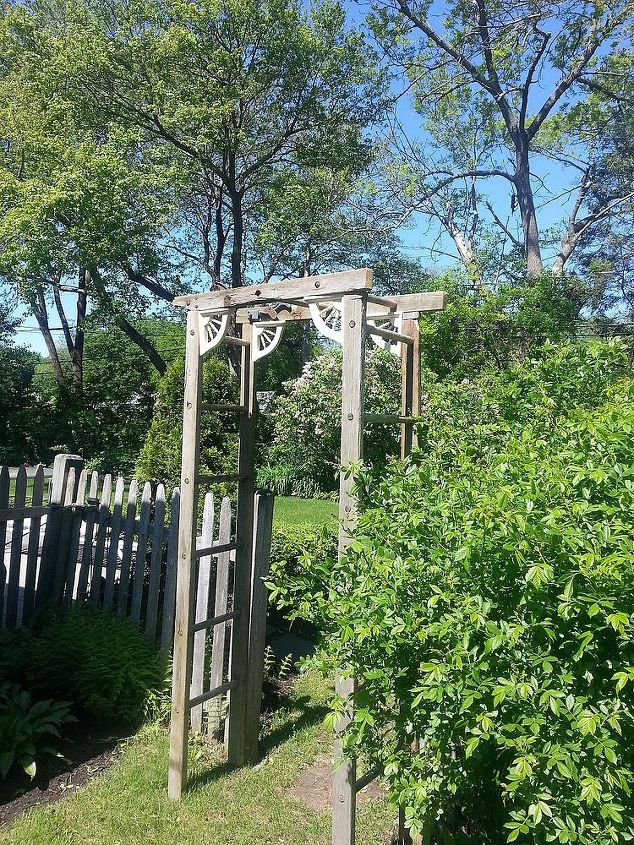 re purposed ladder becomes trellis, Finished trellis