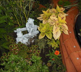 new garden and pond, flowers, gardening, hibiscus, outdoor living, ponds water features, another sun loving Coleus