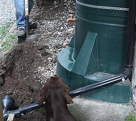 save your lawn how to build a flushable dog run the doggie john, bathroom ideas, gardening, pets animals