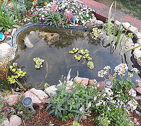 my rock gardens, flowers, landscape, outdoor living, ponds water features, Large Pond not done setting rocks around the edge