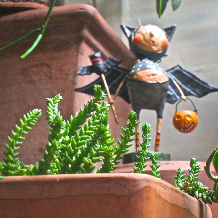 group c wins 3rd coin toss follow up halloween decor part 3 of 4, flowers, gardening, halloween decorations, seasonal holiday d cor, succulents, Ready for her garden themed close up Ms Kitty Cat AND Her Bat in my succulent garden