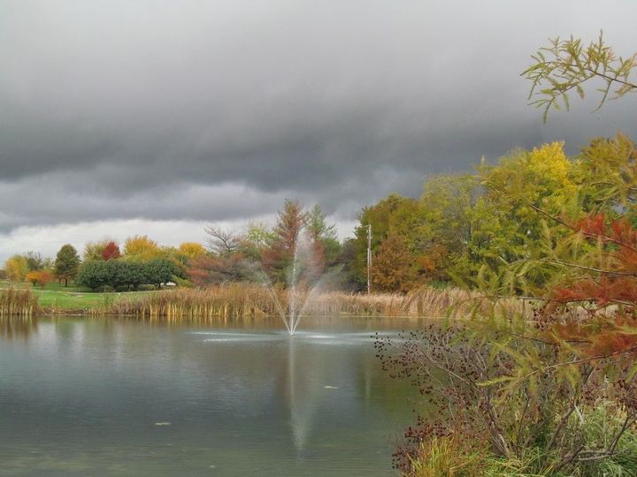 comparte usted las vistas de su jardn para animar a otros a probarlo