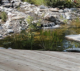 do you want a walmart pond or a nordstrom pond, outdoor living, ponds water features