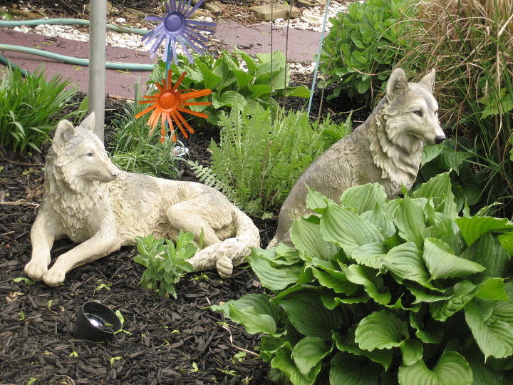 recycled gas can buckets and more, flowers, gardening, repurposing upcycling, wolves in a memorial garden