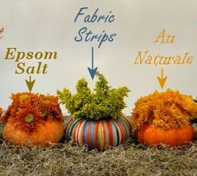 miniature pumpkin vases, container gardening, crafts, decoupage, flowers, gardening, painting, Mini pumpkin vases decorated five different ways