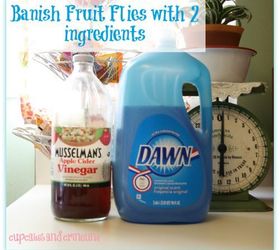 get rid of pesky fruit flies easily and quickly, pest control, The two ingredients needed to get rid of fruit flies