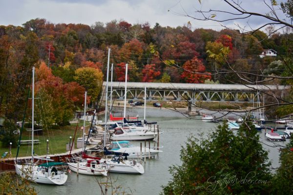 fall in ontario, gardening, The Harbour in Bayfield Ontario
