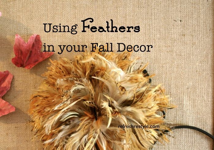 using feathers in your fall decor, seasonal holiday decor, Do you use feathers in your decor I do