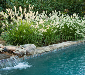 with the cold weather fast approaching and the possibility of snow flurries tonight, decks, gardening, outdoor living, pool designs, The other view of the waterfall on the pool edge with the Pennisetum glowing in the morning light