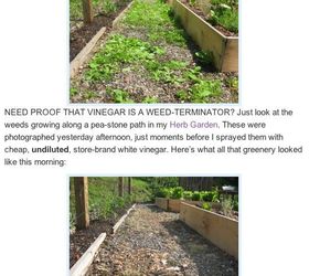 a friend sent a post from another site about killing weeds with vinegar i m posting