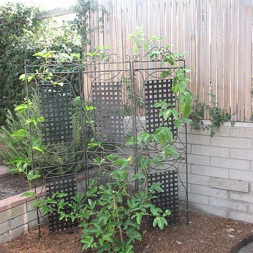 re using our room divider in our garden, gardening, repurposing upcycling, Reusing our decorative wall divider in our garden