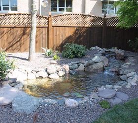 ecosystem pond chelsea mi, outdoor living, ponds water features, After picture of the ecosystem pond in Chelsea MI