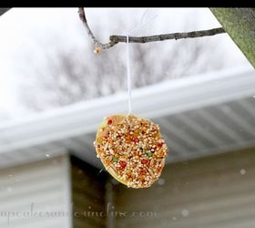 easy to make bird feeders amp bird treats, gardening, Treats for the birds on a snowy day