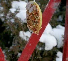 easy to make bird feeders amp bird treats, gardening, Bird Treats hanging from ladder