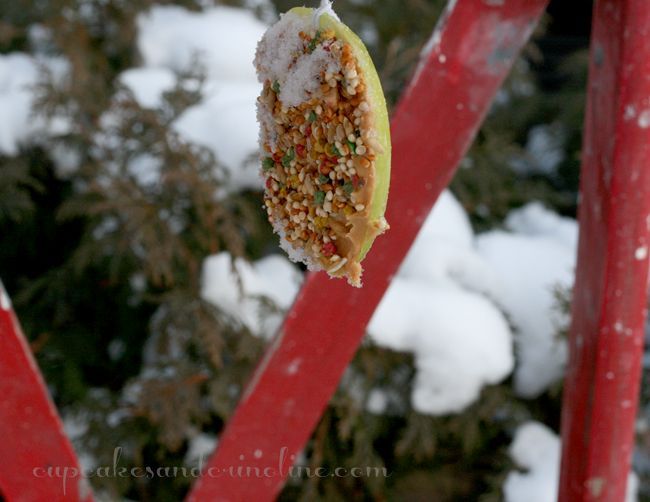easy to make bird feeders amp bird treats, gardening, Bird Treats hanging from ladder