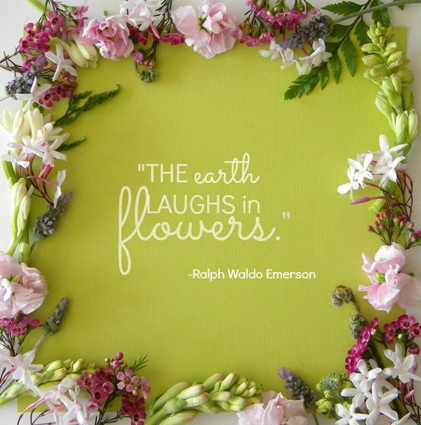 spring floral inspiration budget friendly arrangements, flowers, gardening, home decor, Flowers place around colorful paper make a pretty frame for an inspirational quote