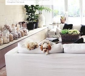 30 ways to display a seashell collection, home decor, A grouping of jars with seashells and other beach treasures