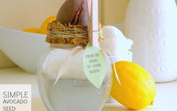 A Simple Avocado Seed Gift