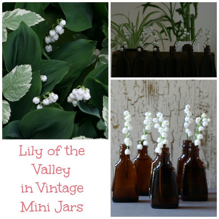 display small blooms from your garden with vintage charm, home decor, Lilies of the valley in vintage extract jars