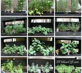 free standing pallet herb garden means fresh herbs near the kitchen, diy, gardening, pallet, repurposing upcycling, fresh herbs