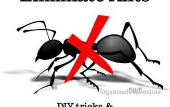 DIY Ant Killer and Exterminator Recommendations