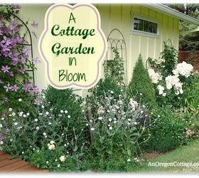 cottage garden flowers, flowers, gardening, outdoor living, A border in bloom with roses clematis daylilies and rose campion with evergreens as structure