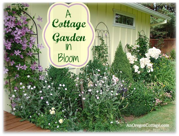 cottage garden flowers, flowers, gardening, outdoor living, A border in bloom with roses clematis daylilies and rose campion with evergreens as structure