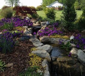 pond, gardening, outdoor living, ponds water features, Spring 2012