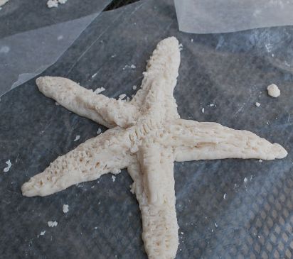 imitao de estrela do mar feita com argila caseira, Veja fotos de estrelas do mar reais para criar suas formas