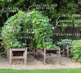 13 Benefits of Raised Urban Gardening