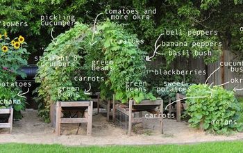 13 Benefits of Raised Urban Gardening