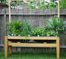 the benefits of raised urban gardening, gardening, homesteading, urban living, 12 Great for wheelchairs and walkers